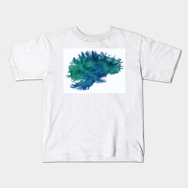 White matter fibres, DTI scan (C038/4656) Kids T-Shirt by SciencePhoto